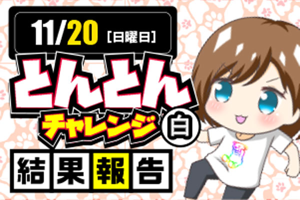 11月20日(日)「とんとんチャレンジ（白）開催‼︎結果報告🐈」全台